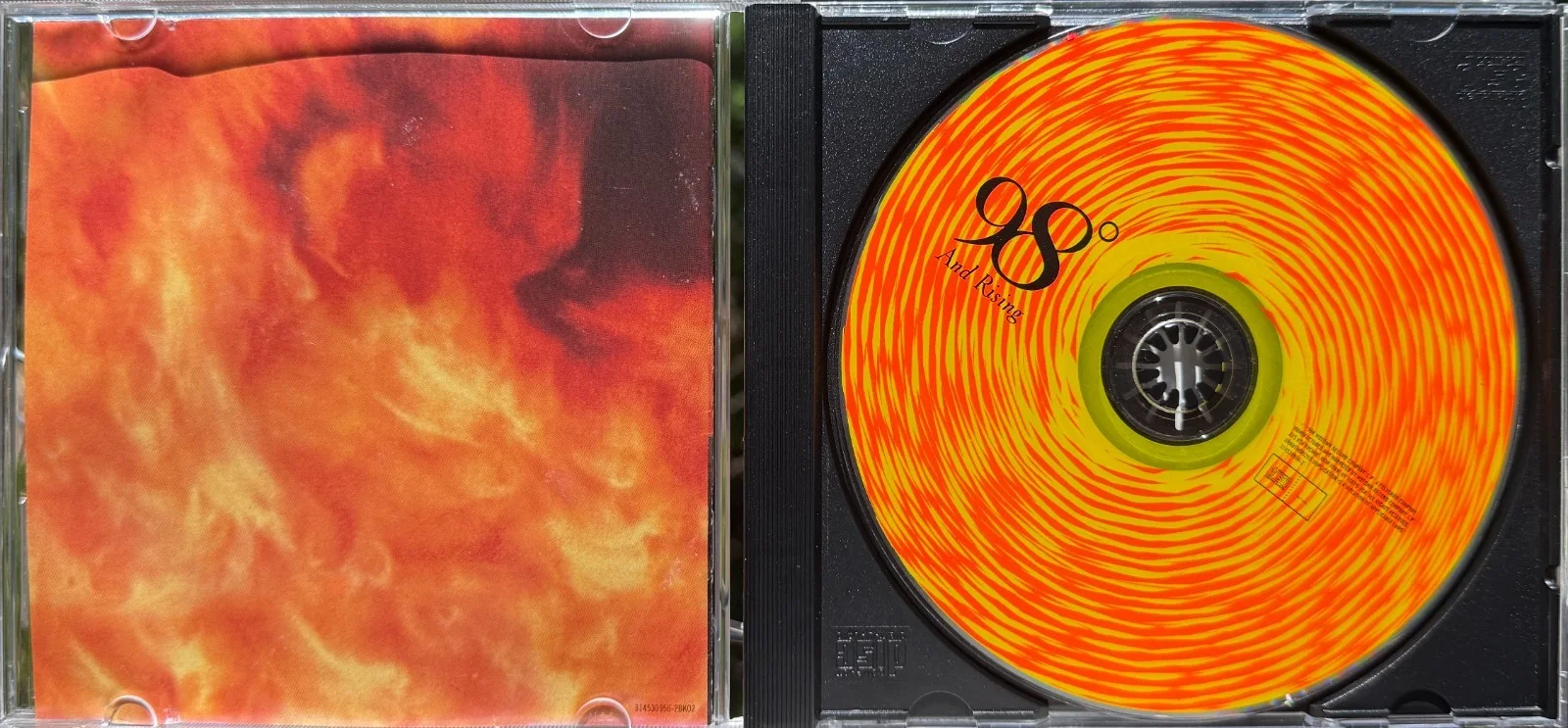 98 Degrees and Rising Album CD Signed - Autographed - 98 Degrees Band, image 3