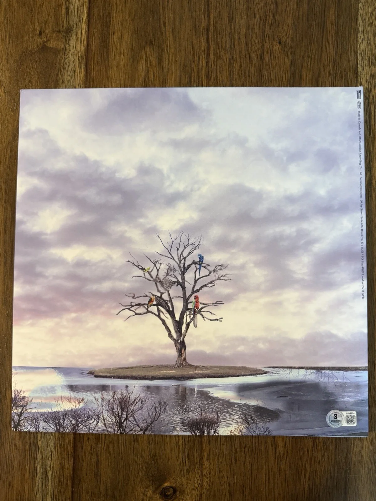 ‘Alex G’ Signed Vinyl Album ‘God Save The Animals’ (Sandy) Beckett Certified, изображение 2