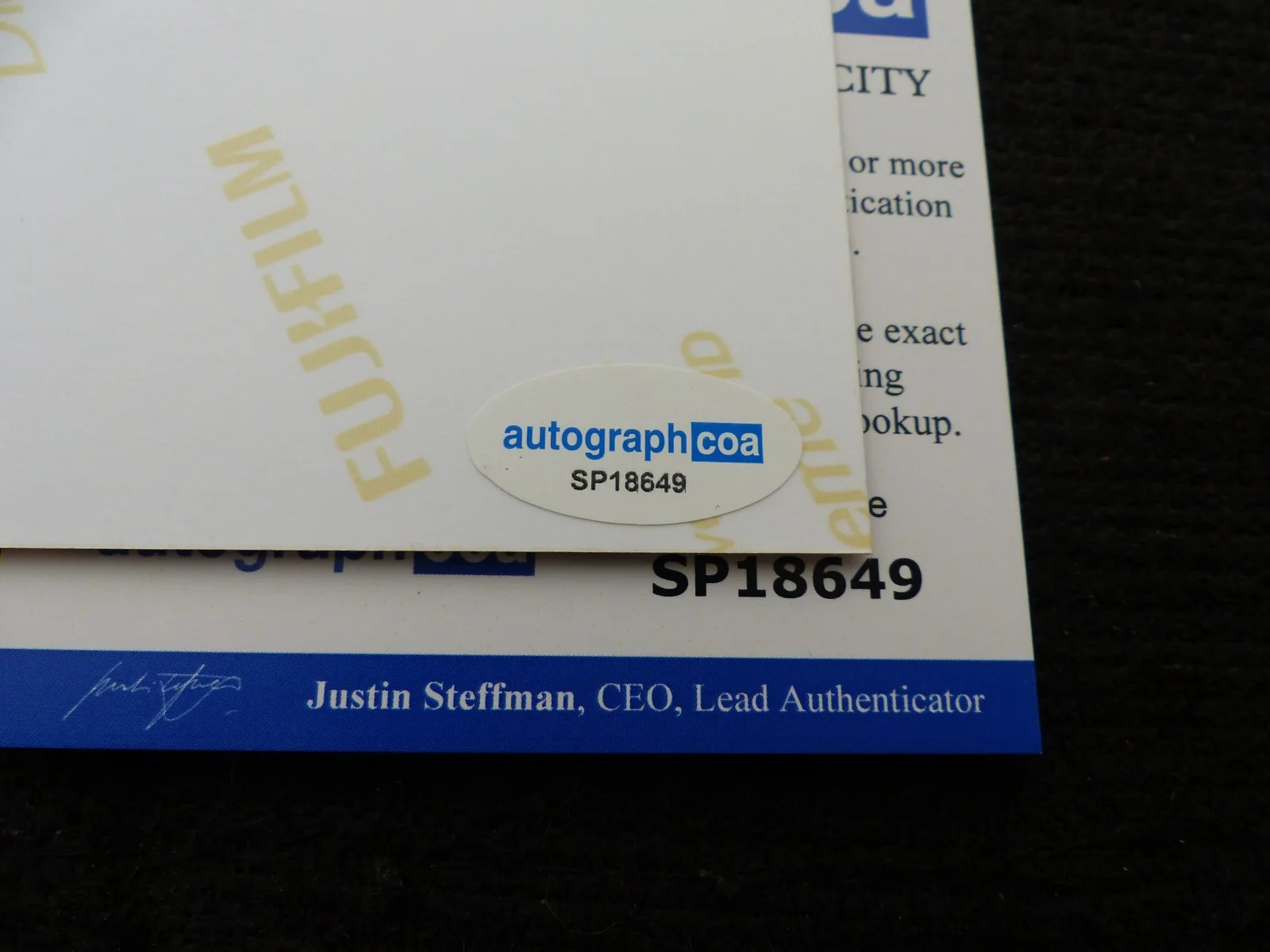 Werner Herzog — WERNER HERZOG signed Autograph autographed 8x10 Photo InPerson ACOA COA, image 2