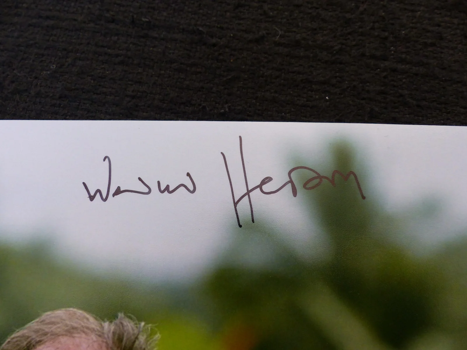 Werner Herzog — WERNER HERZOG signed Autograph autographed 8x10 Photo InPerson ACOA COA, изображение 2