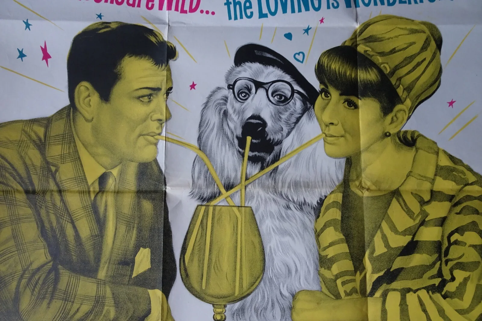 Wild And Wonderful Poster Cinema Quad 1964 Tony Curtis Christine Kaufmann Poodle, изображение 2