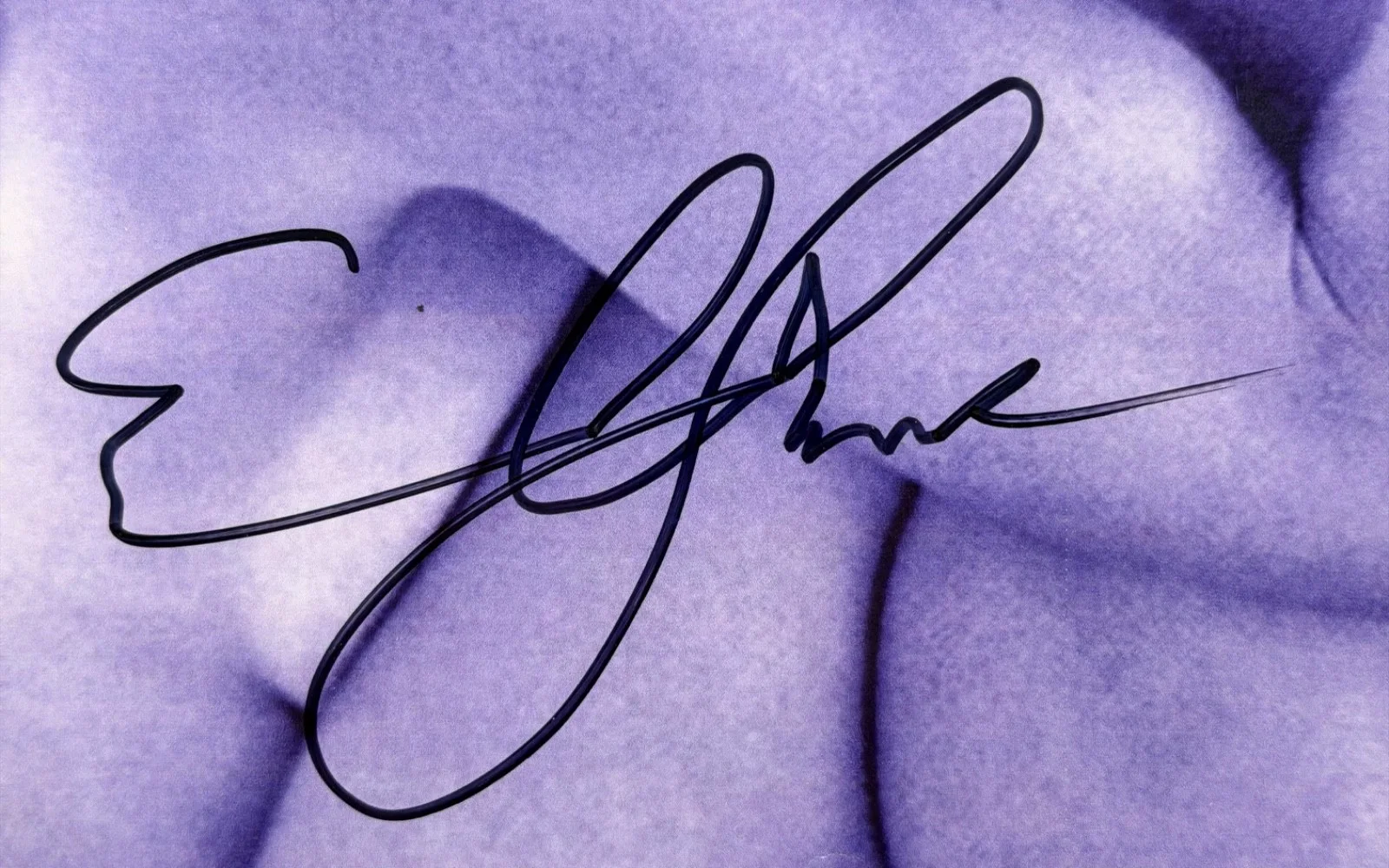 Elisabeth Shue — Elisabeth Shue Signed 8x10 Photo – The Karate Kid & Back to the Future, image 2