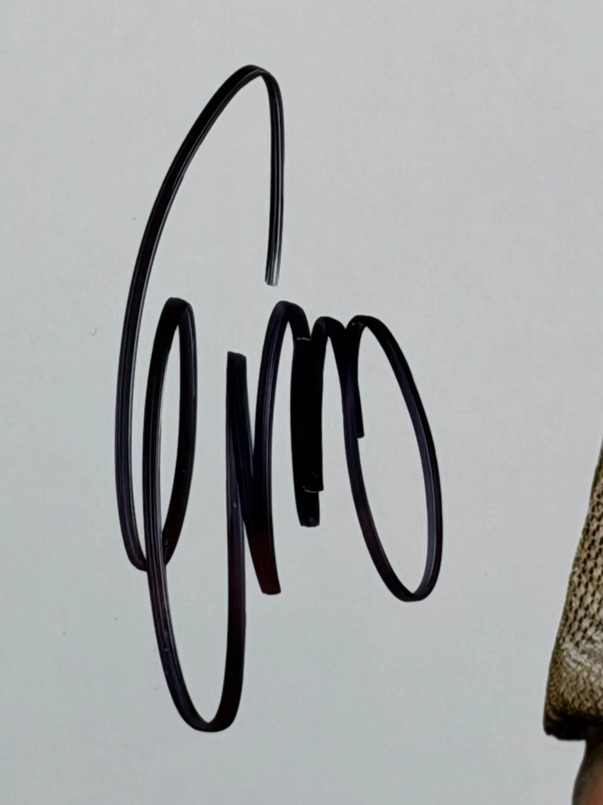 Evangeline Lilly — Evangeline Lilly Signed 8x10 Photo w/ COA – Lost & Ant-Man Star Auto, изображение 2