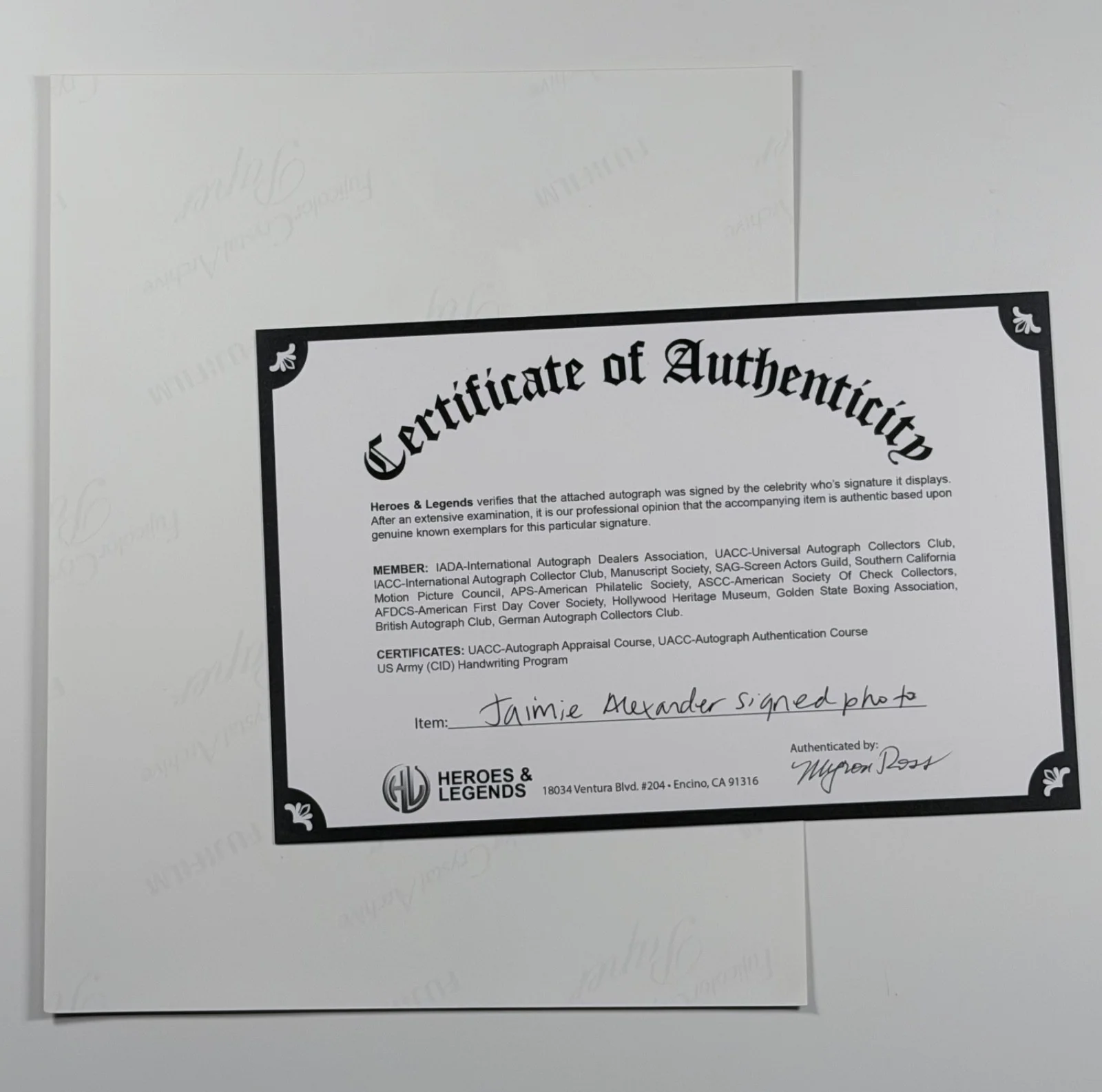 Jamie Alexander — Jaimie Alexander Signed 8x10 Photo w/ COA – Thor & Blindspot Star, изображение 3