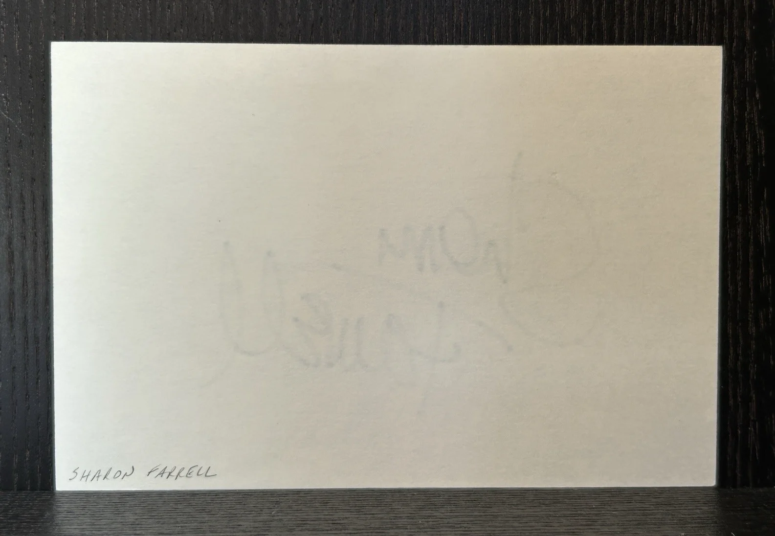 Sharon Farrell — SHARON FARRELL HAND SIGNED 4x6 CARD Original Autograph CAN'T BUY ME LOVE Actress, image 3