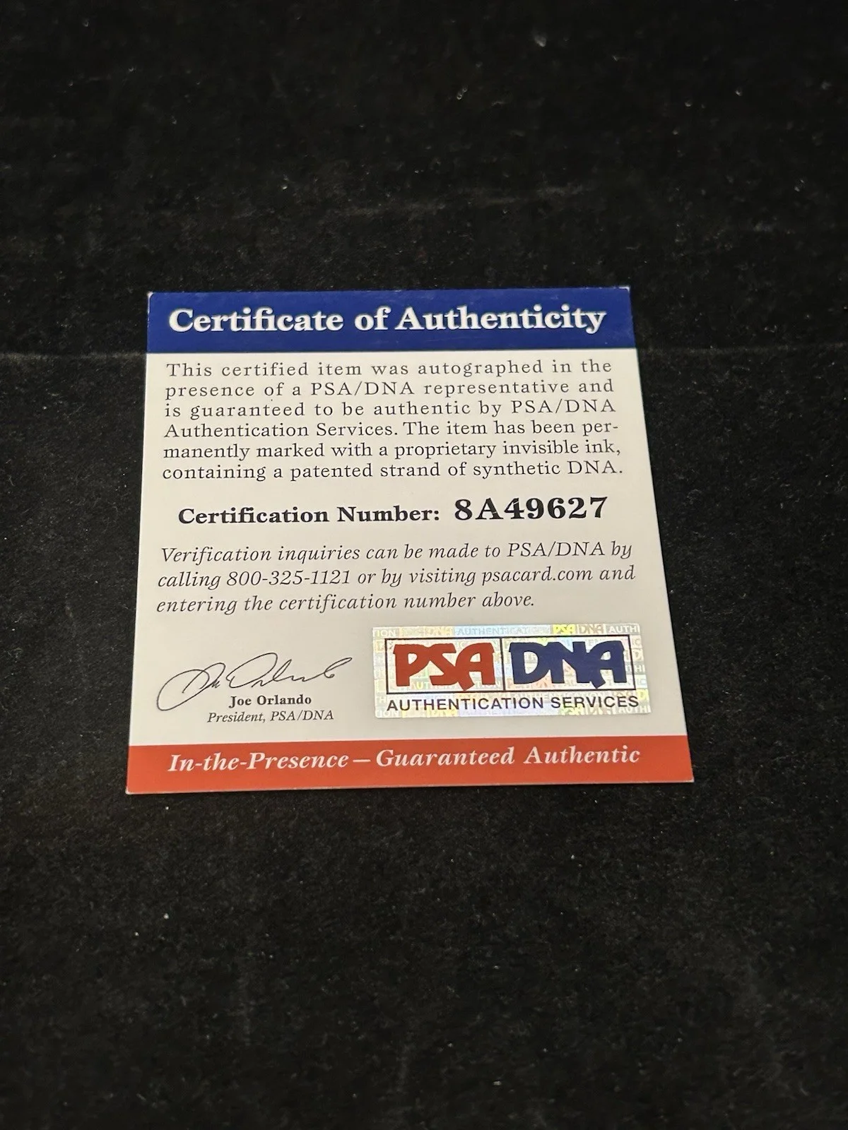 Joan Van Ark — FAMILY GUY - JOAN VAN ARK - PSA DNA COA - SIGNED AUTOGRAPH PHOTO PETER, изображение 4