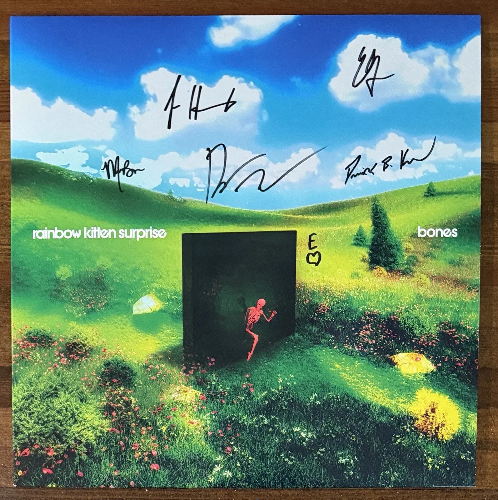 Rainbow Kitten Surprise — Rainbow Kitten Surprise BAND SIGNED Bones Yellow Vinyl Beckett BAS COA Autograph