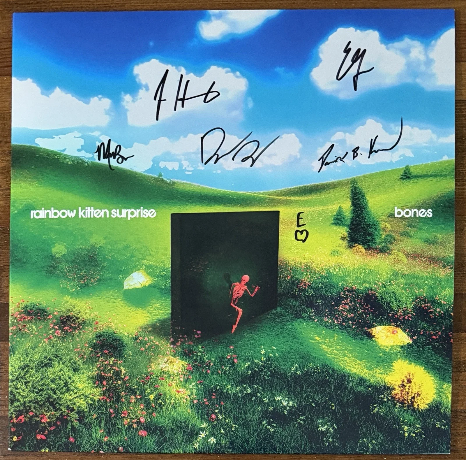 Rainbow Kitten Surprise — Rainbow Kitten Surprise BAND SIGNED Bones Yellow Vinyl LP Beckett BAS COA Auto, image 2