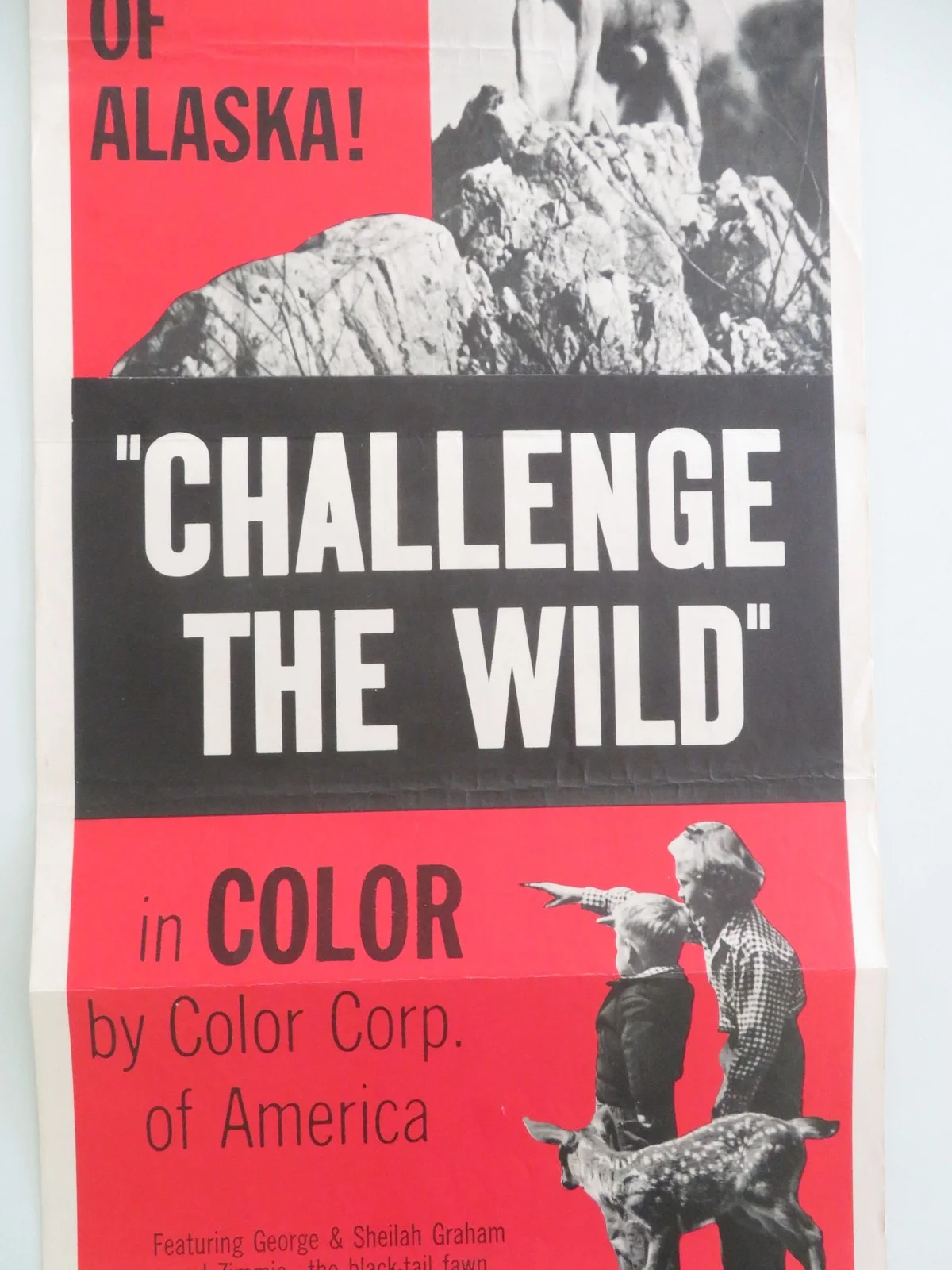 Challenge the Wild US Insert Poster George Graham Sheilah Graham 1954, изображение 3