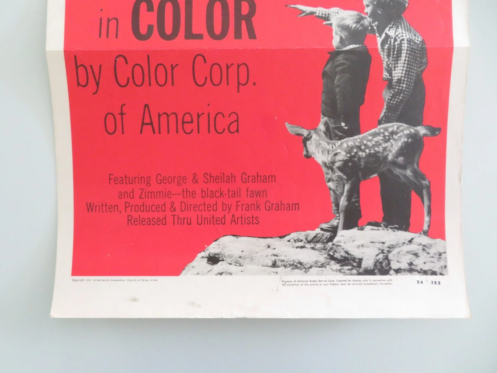 Challenge the Wild US Insert Poster George Graham Sheilah Graham 1954, изображение 4
