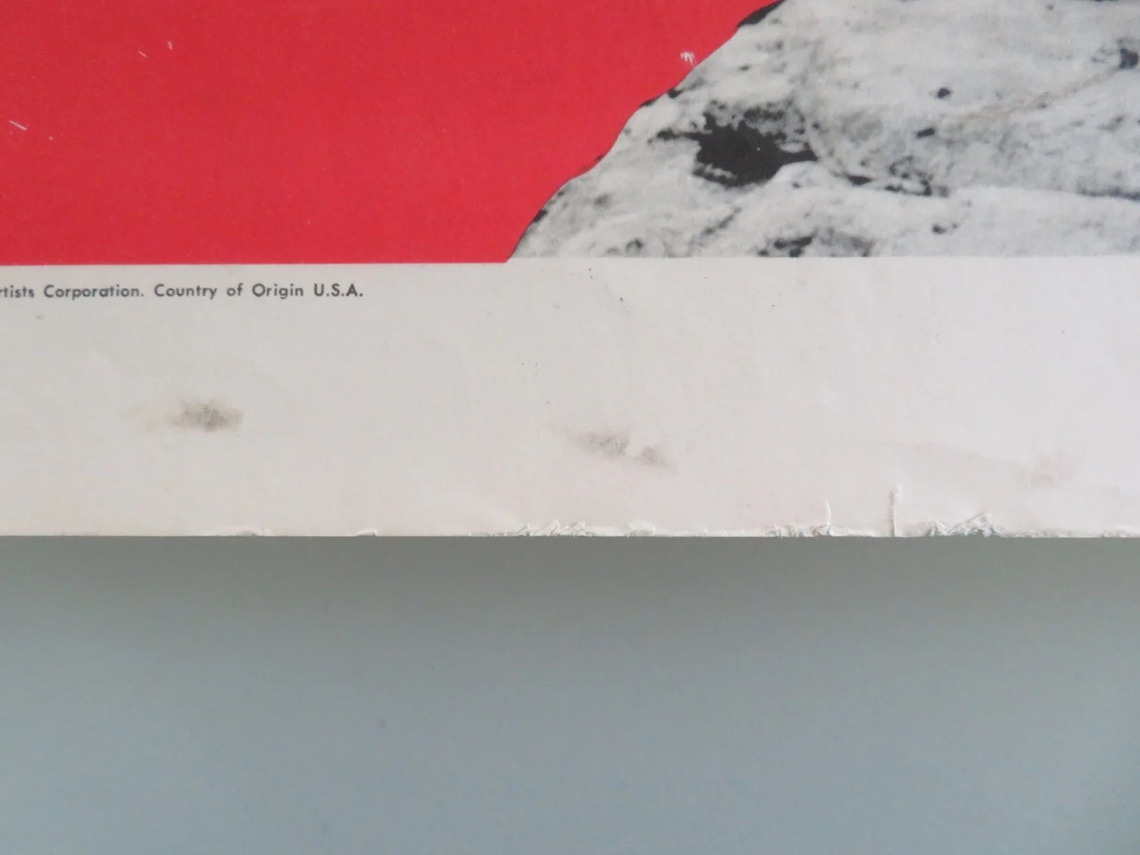 Challenge the Wild US Insert Poster George Graham Sheilah Graham 1954, изображение 5