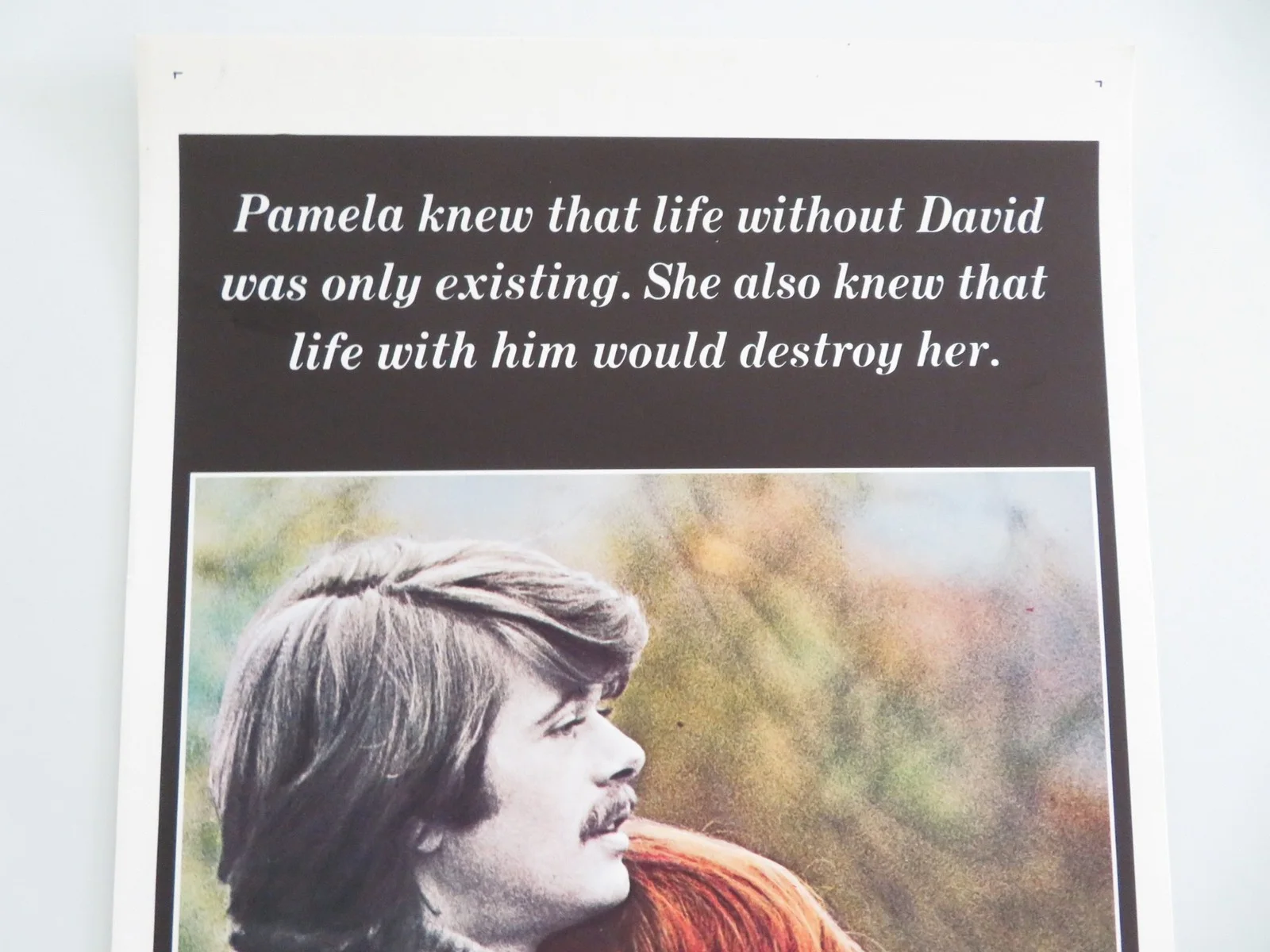 Believe in Me US Insert Poster Michael Sarrazin Jacqueline Bisset 1971, image 2