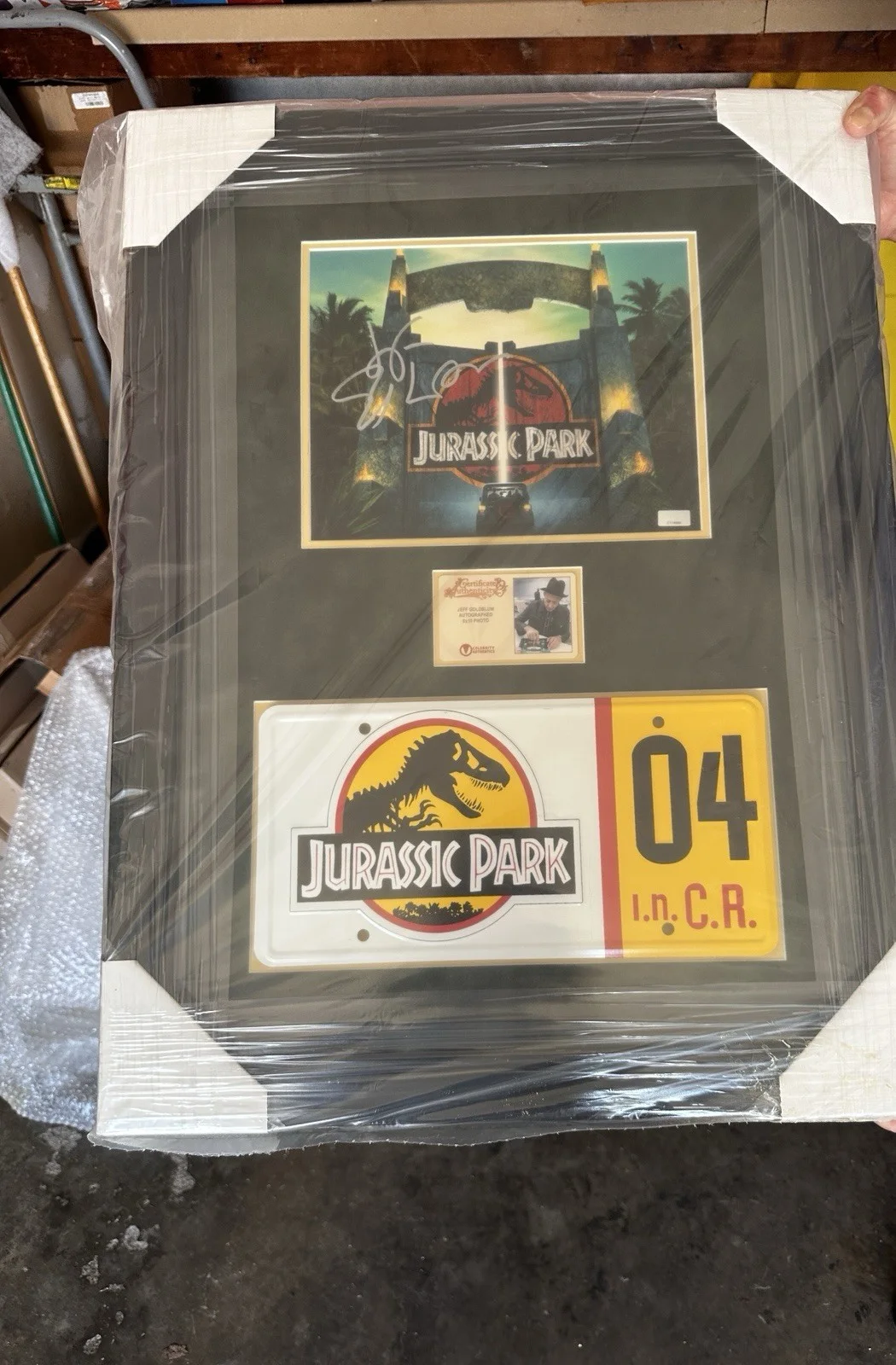Jeff Goldblum Autographed Jurassic Park 8x10 Framed Photo Celebrity Authentics, изображение 5