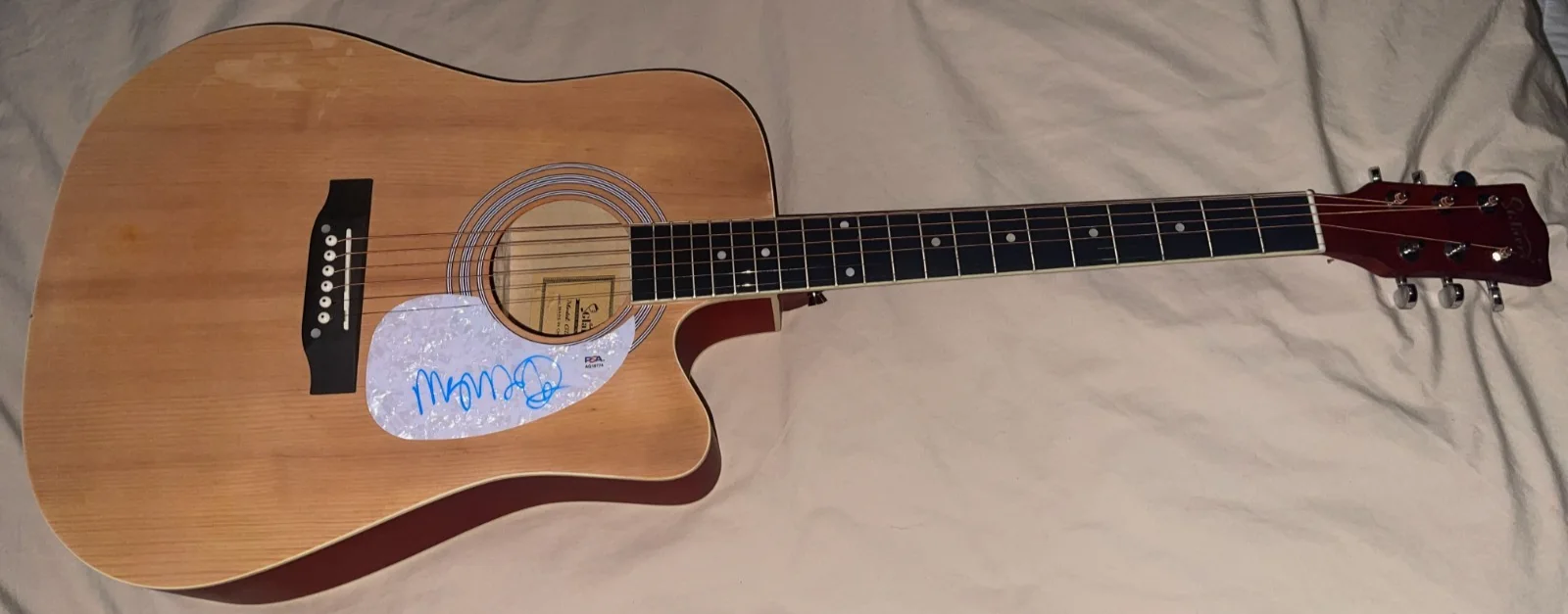 Mac DeMarco This Old Dog Salad Days 2 Signed Autograph Acoustic Guitar PSA RARE, image 3