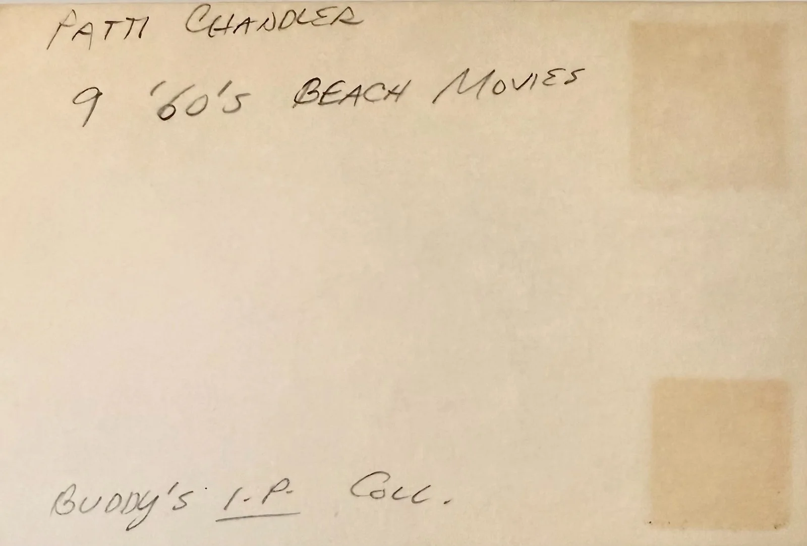 Patti Chandler — PATTI CHANDLER Signed Autographed 4"x 6" INDEX CARD How to Stuff a Wild Bikini, изображение 2