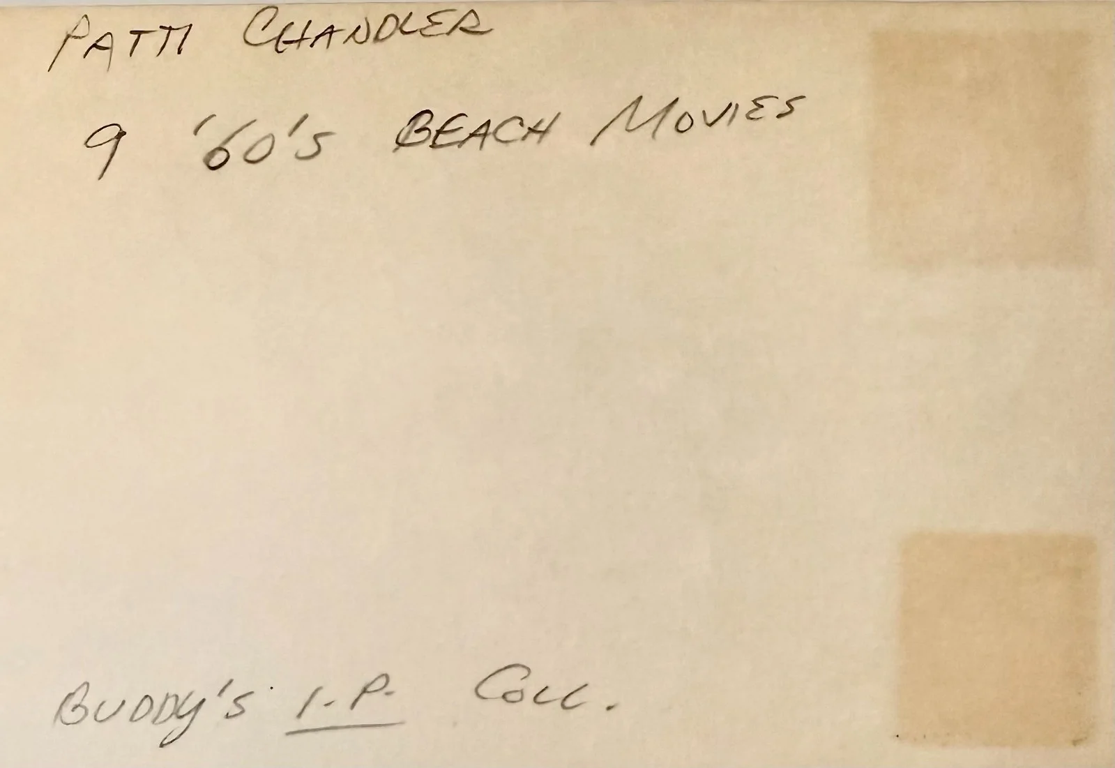 Patti Chandler — PATTI CHANDLER Signed Autographed 4"x 6" INDEX CARD How to Stuff a Wild Bikini, изображение 4