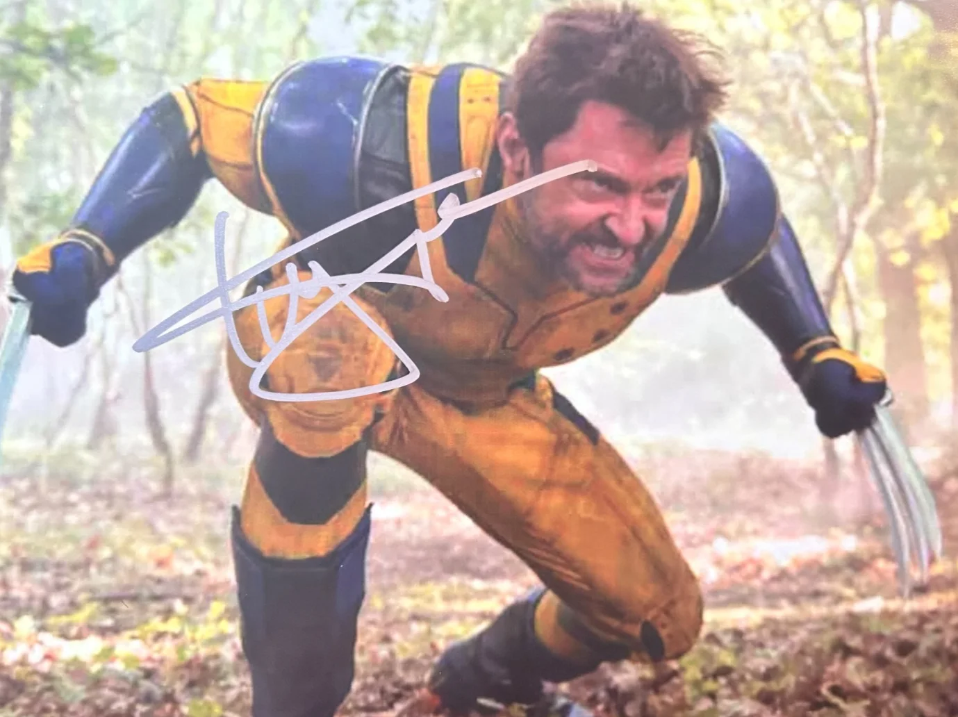 Hugh Jackman — HUGH JACKMAN Signed Original WOLVERINE 8x10" Authentic Autograph GENUINE w/COA, image 3