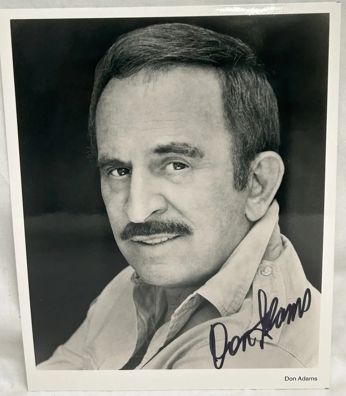 Don Adams — Don Adams American Actor Get Smart 8x10 B/W Picture Signed, изображение 2