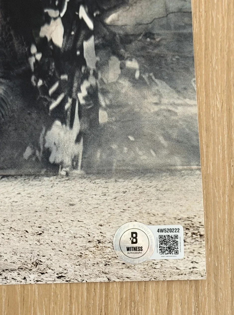 Chris Pratt — CHRIS PRATT SIGNED JURASSIC WORLD 11X14 PHOTO BECKETT BAS, изображение 2