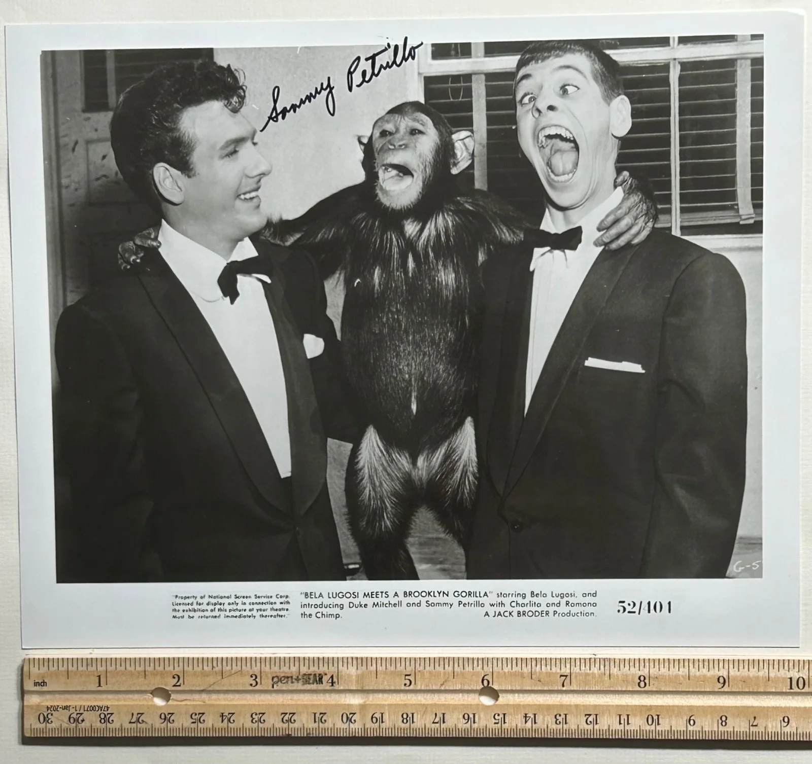 SAMMY PETRILLO—SIGNED PHOTO—JERRY LEWIS Imitator—BELA LUGOSI BROOKLYN GORILLA, image 3