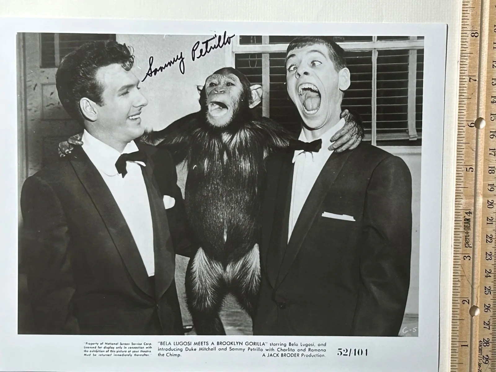 SAMMY PETRILLO—SIGNED PHOTO—JERRY LEWIS Imitator—BELA LUGOSI BROOKLYN GORILLA, image 4