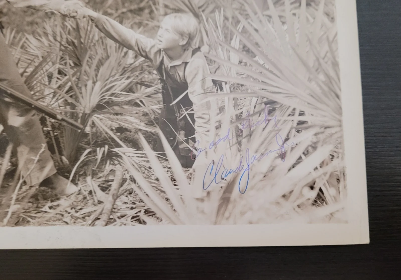 Claude Jarman Jr Signed Photo The Yearling Autographed 8x10 Movie Still Western, изображение 2