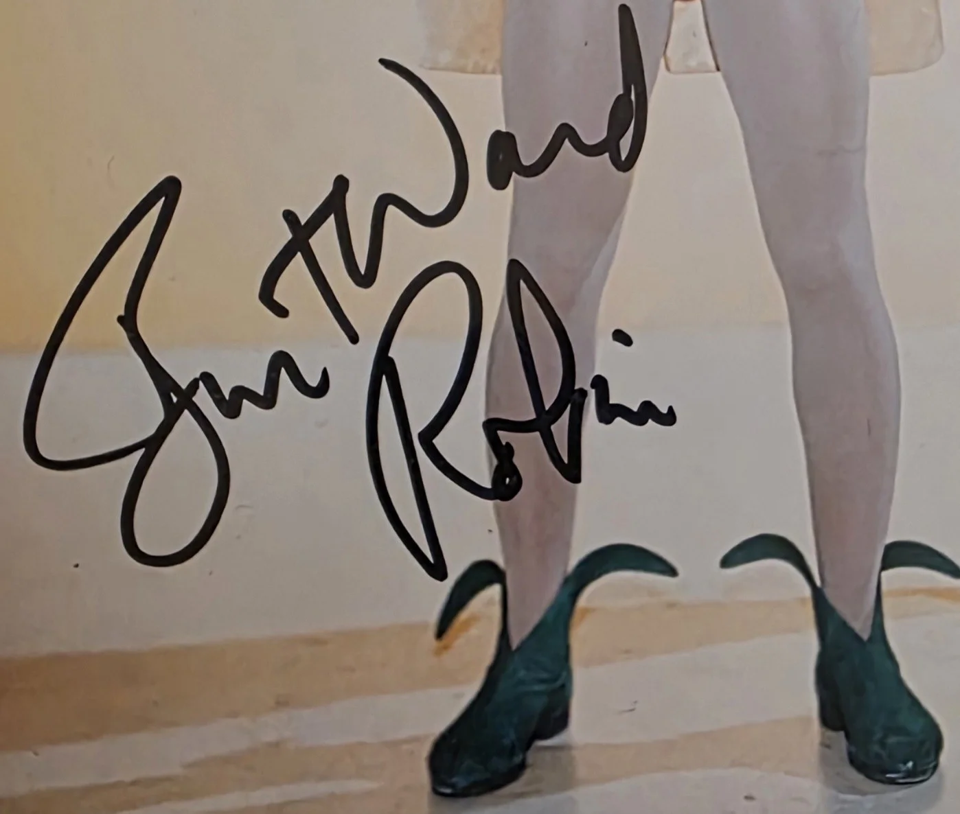 Burt Ward Signed Color 8x10, Inscribed "Robin" With COA., image 2