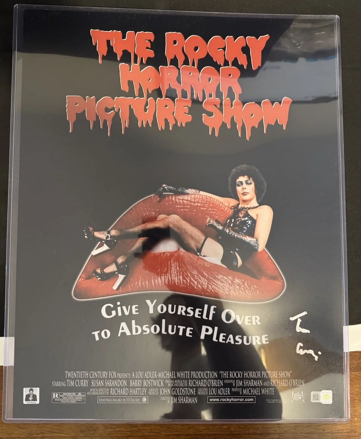 Tim Curry — Tim Curry Signed 16x20 Rocky Horror Picture Show Poster Photo Autograph