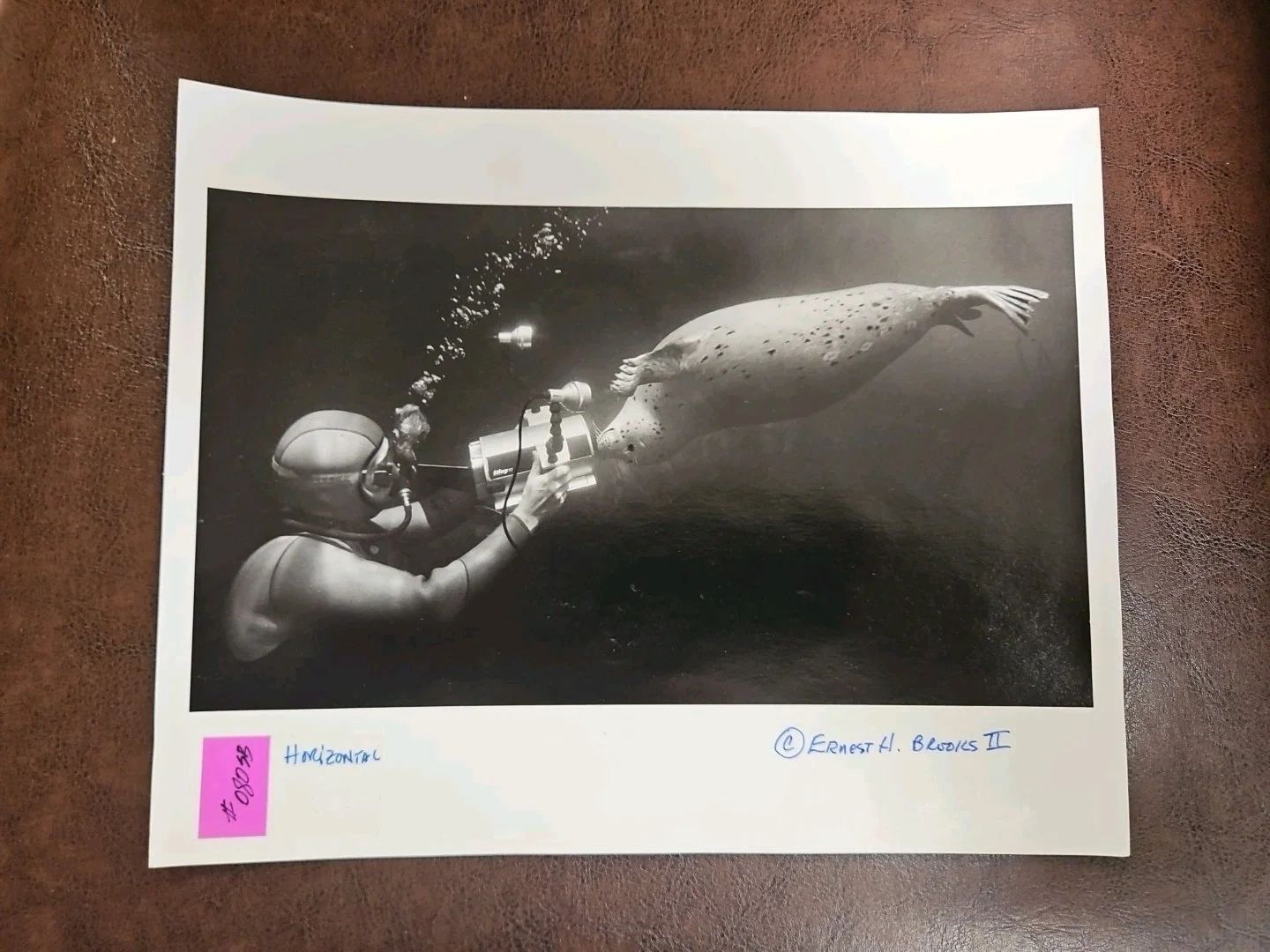 Ernest H Brooks II — RARE TEST PHOTO By Ernest H Brooks II "Spot Meets Michael" Signed B/W