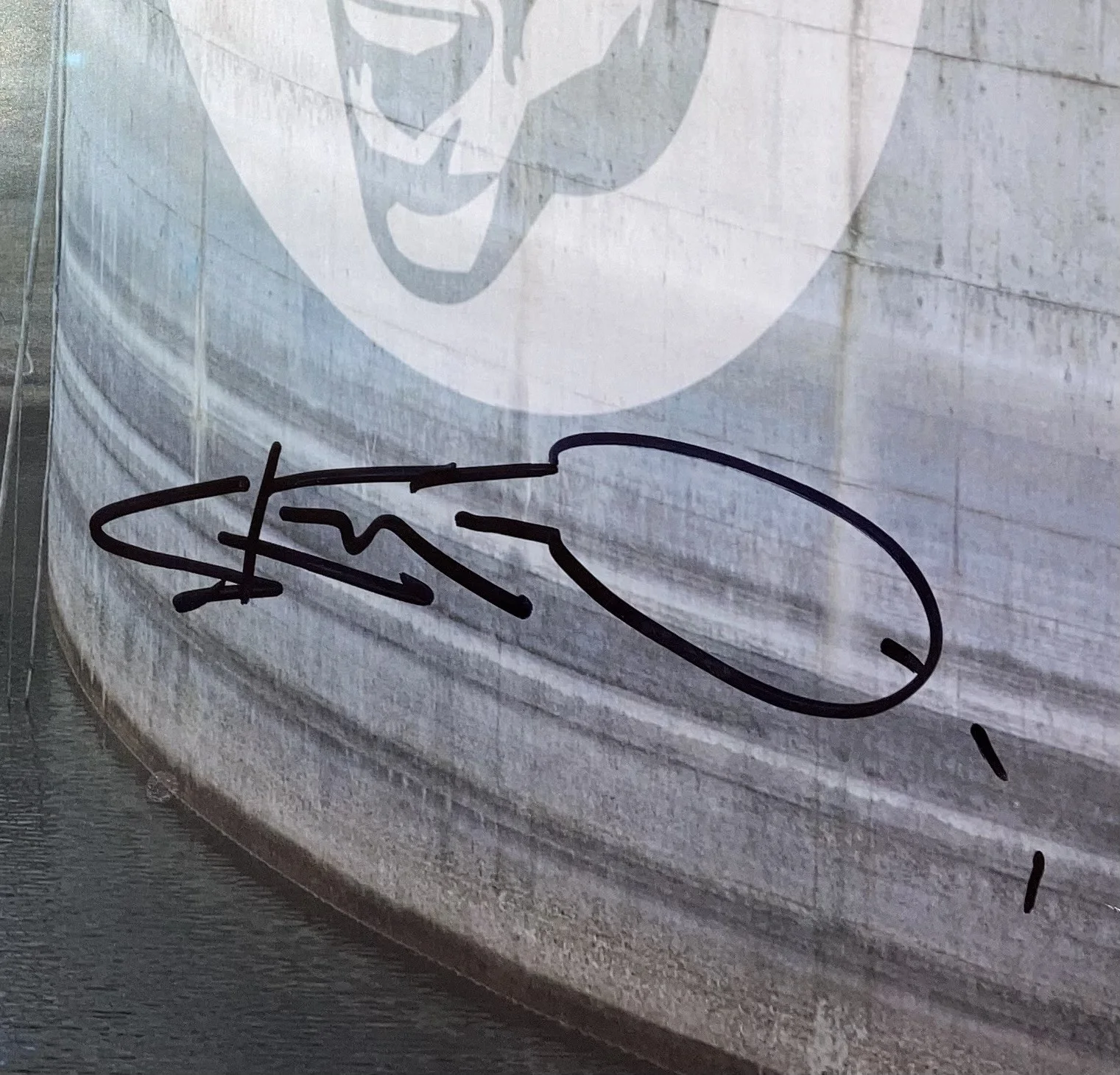 Steve-O — Steve-O Signed Framed 16x20 Jackass Photo BAS, image 2