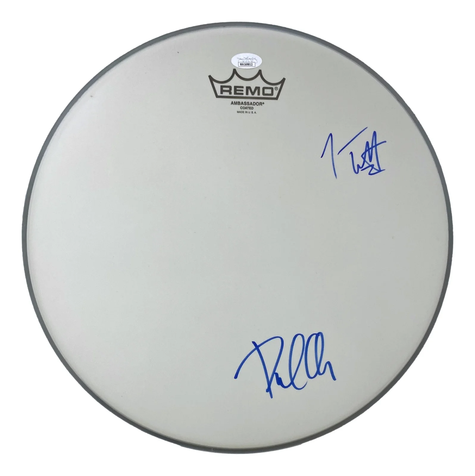 Joe Elliott — Joe Elliott Phil Collen Def Leppard Signed 15" Flt Gray Remo Drum Head JSA Holo