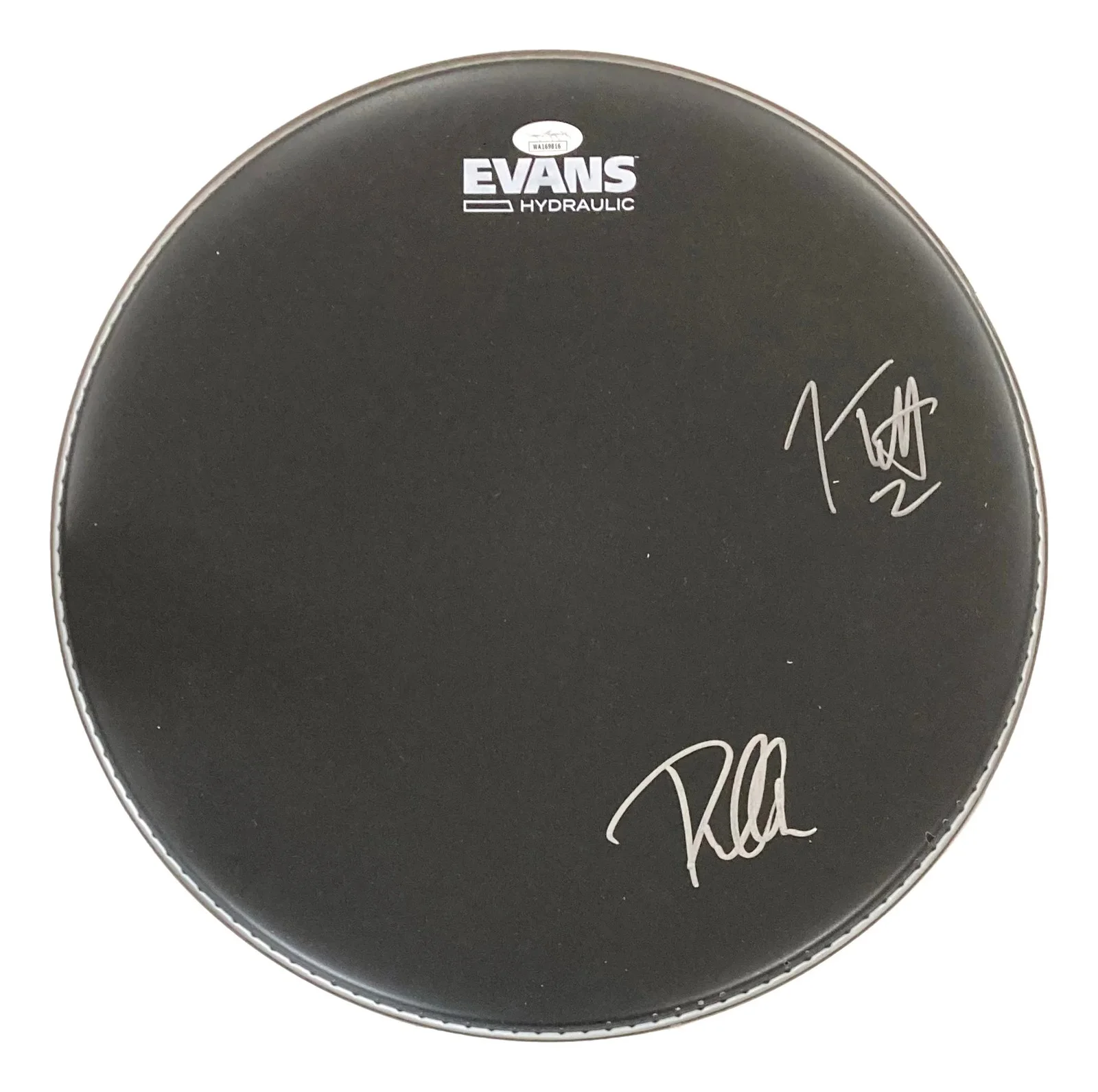 Joe Elliott — Joe Elliott Phil Collen Def Leppard Signed 15" Black Evans Drum Head JSA Holo, image 4
