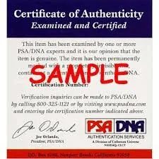 Rainn Wilson — Rainn Wilson Signed The Office 11x14 Photo Dwight Schrute as Jim PSA/DNA ITP, image 4