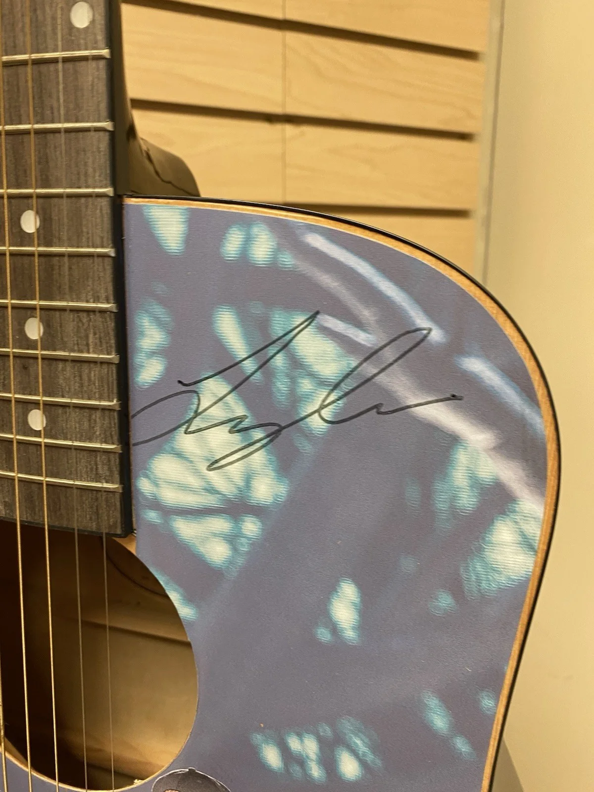 Georgia Florida Line Signed Fender Guitar FA-100 Acoustic, image 4