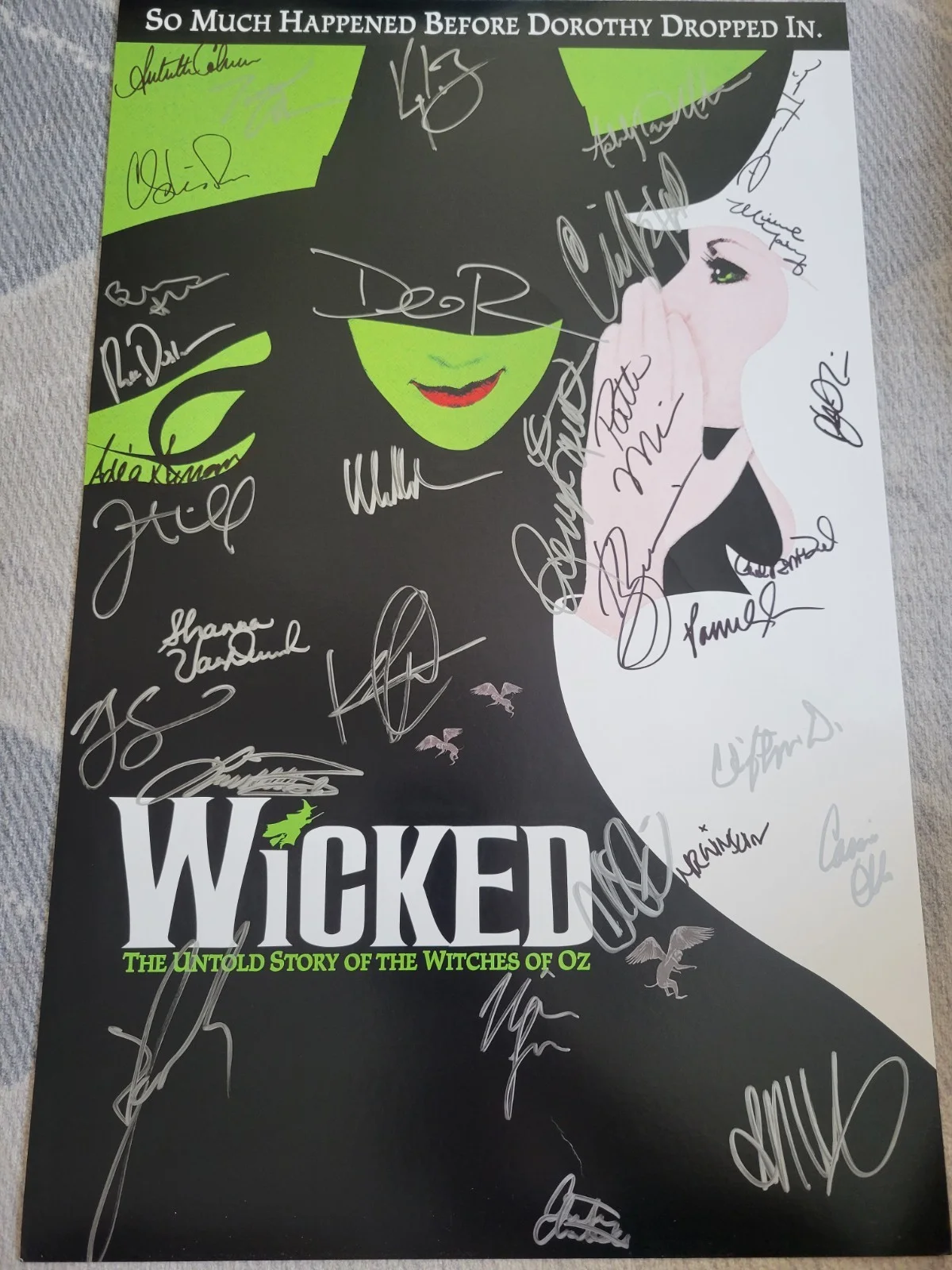 Many Signatures — Wicked The Musical OFFICIAL BROADWAY POSTER Autographed Signed Rare