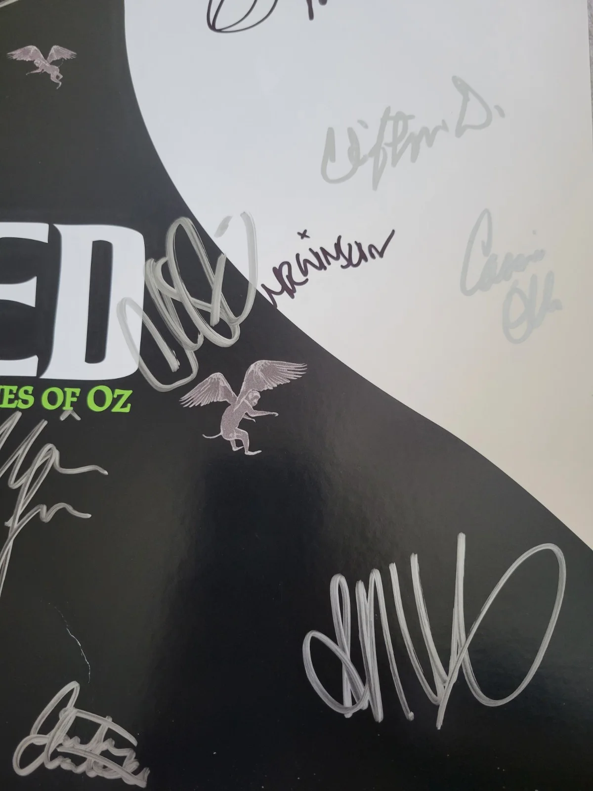 Many Signatures — Wicked The Musical OFFICIAL BROADWAY POSTER Autographed Signed Rare, изображение 3