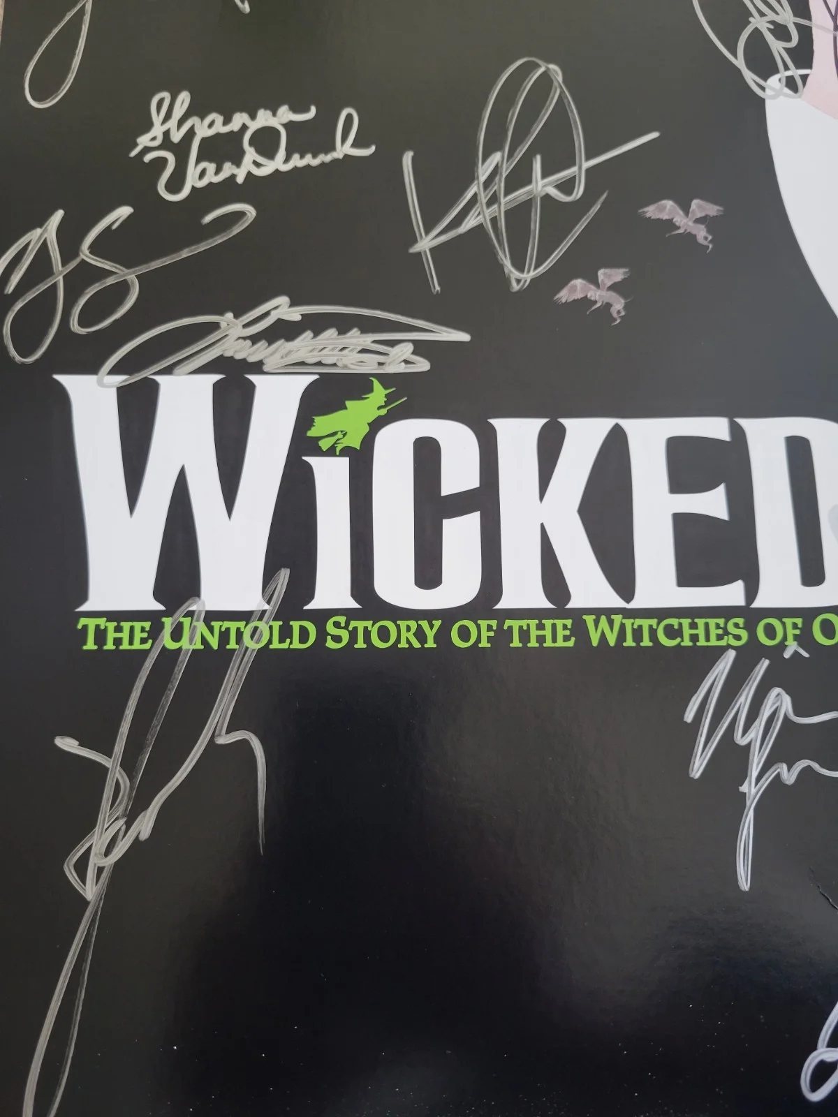 Many Signatures — Wicked The Musical OFFICIAL BROADWAY POSTER Autographed Signed Rare, изображение 4