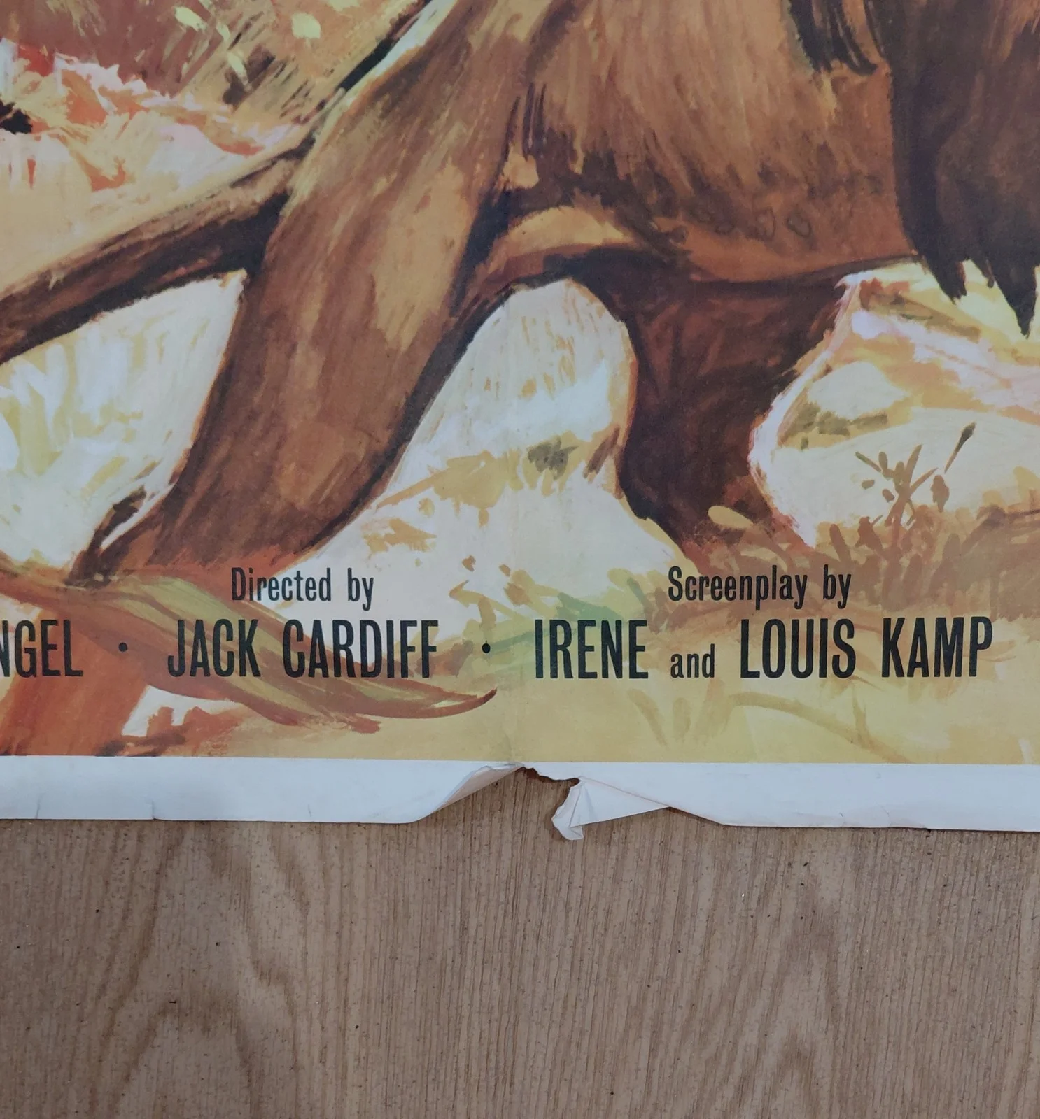 1962 Original The Lion Cinema Quad Poster William Holden, image 3