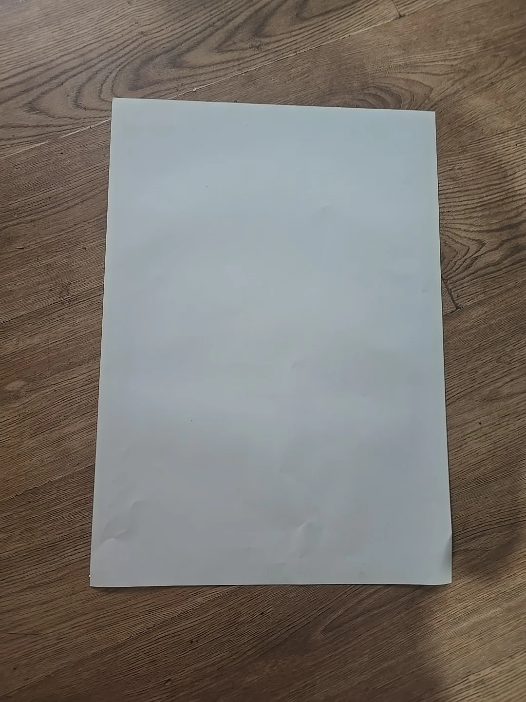Alien Species Original Video Shop VHS Poster Rare, изображение 3