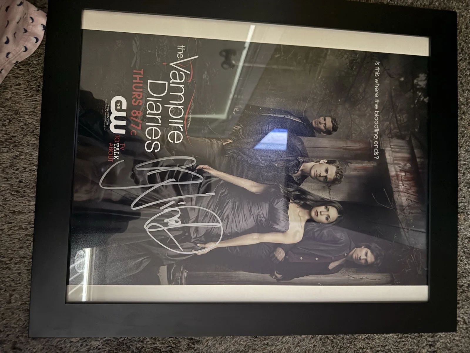 The Vampire Diaries Signed Poster Nina Dobrev Certified Authentic Autograph, image 5