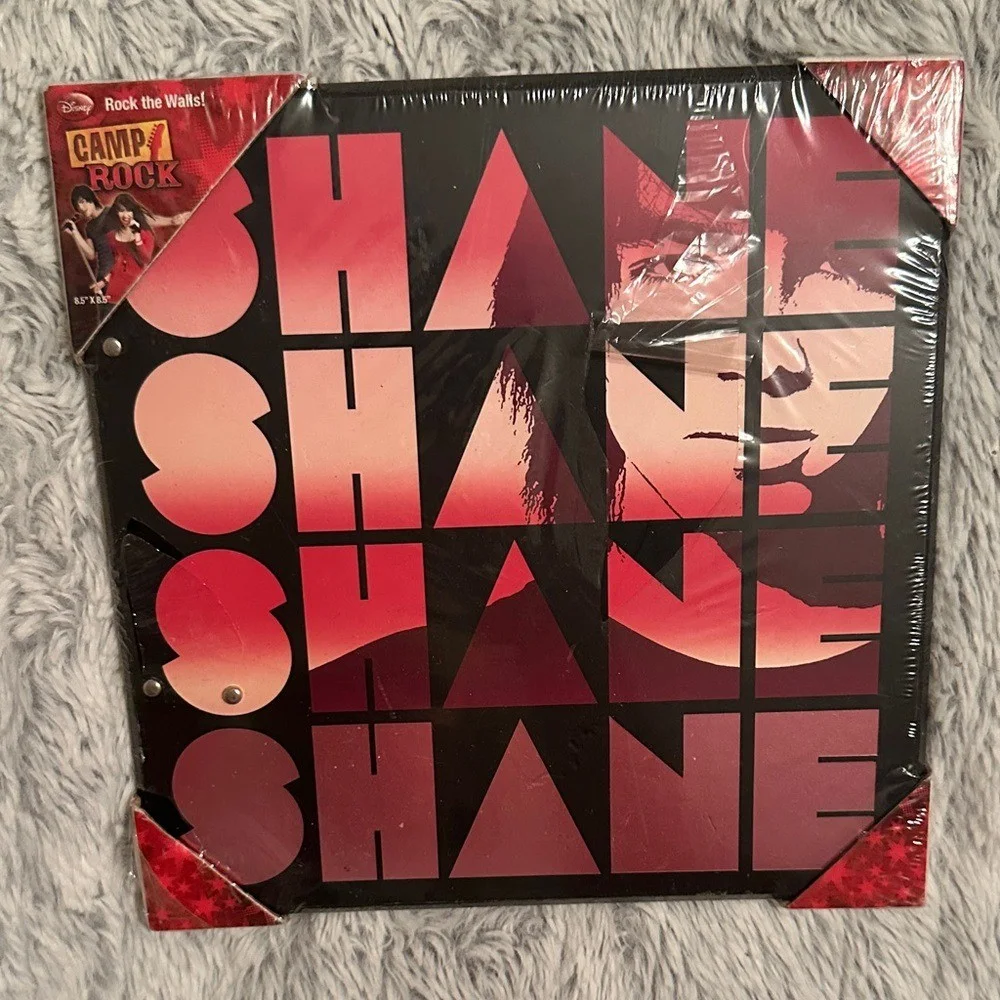 Camp Rock Shane Wall Art Poster, image 2