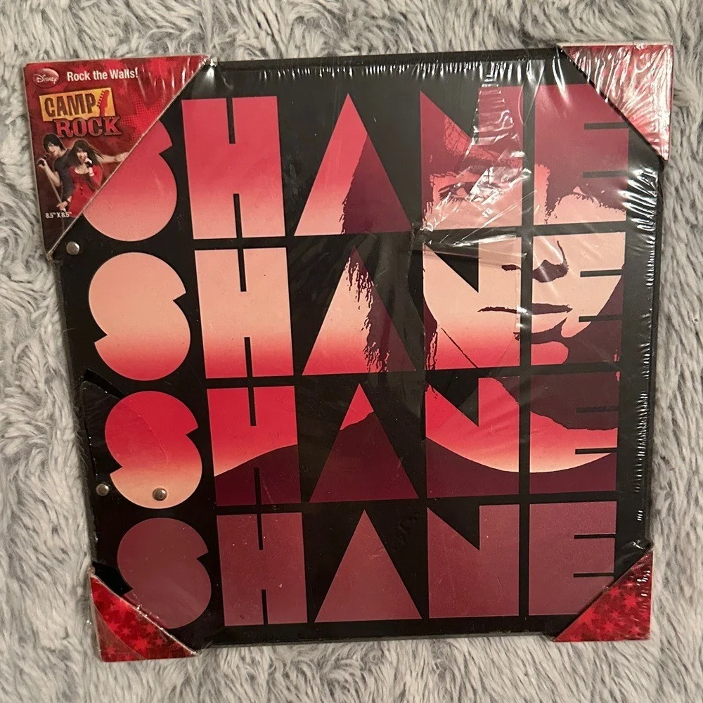 Camp Rock Shane Wall Art Poster, image 3