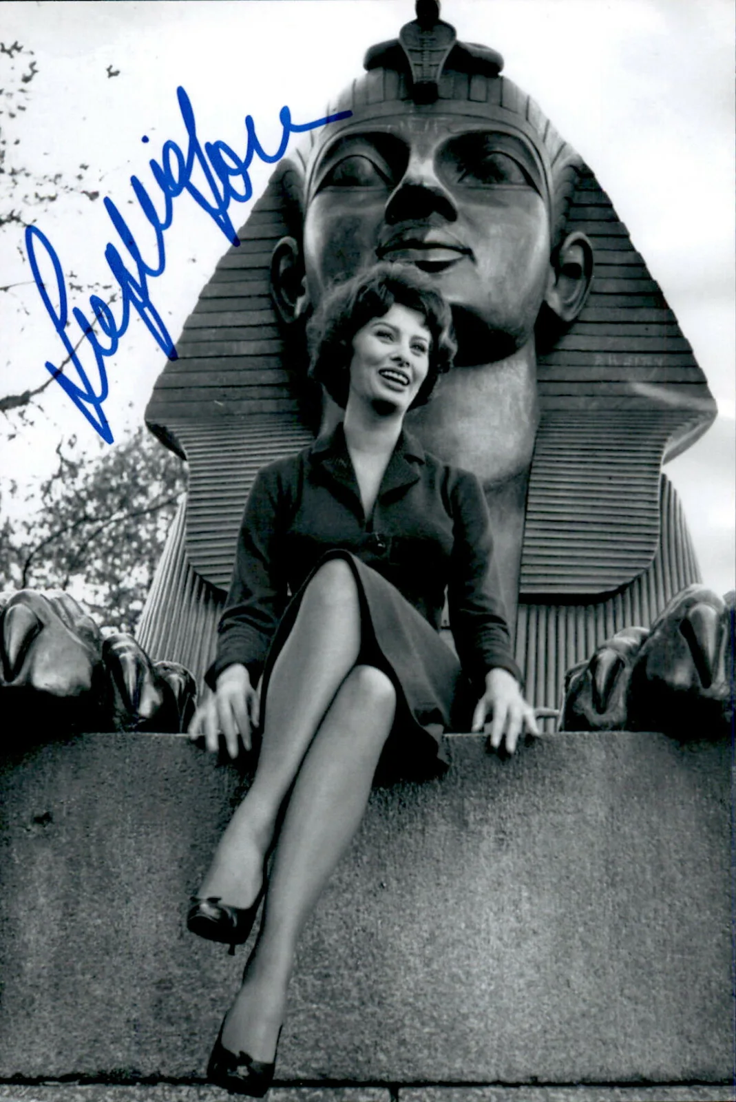Sophia Loren — Sophia Loren Signed Autographed 4x6 Photo Movie Star / Actress / Beautiful #8