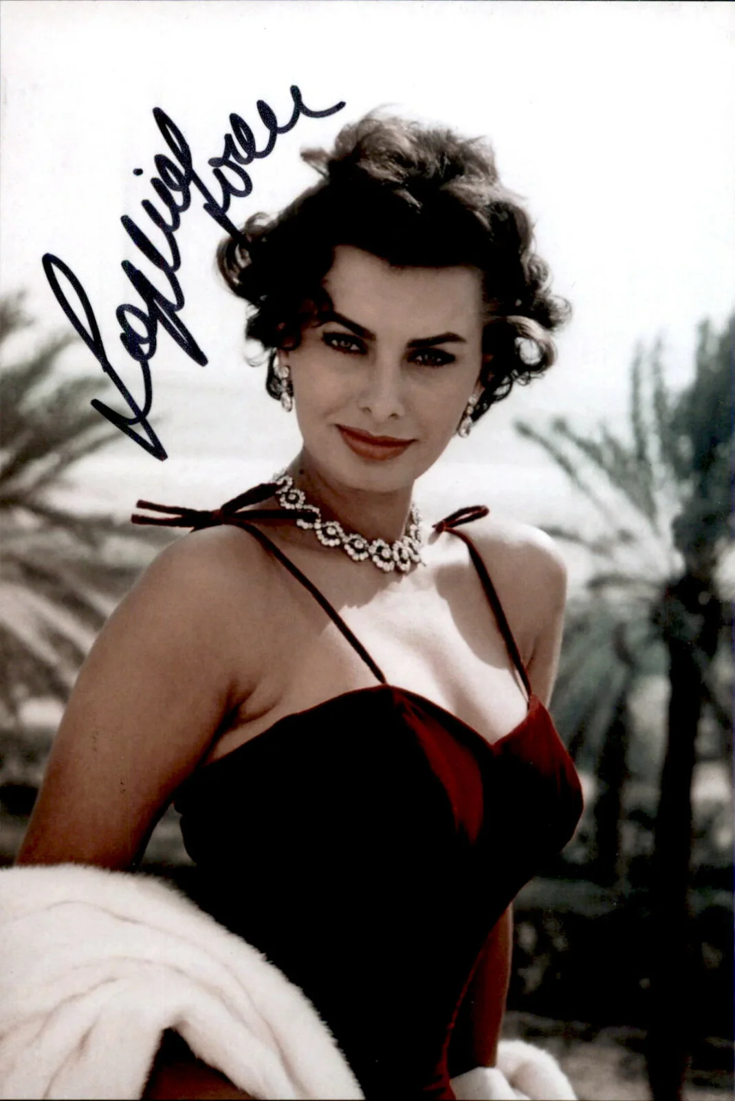 Sophia Loren — Sophia Loren Signed Autographed 4x6 Photo Movie Star / Actress / Beautiful #5