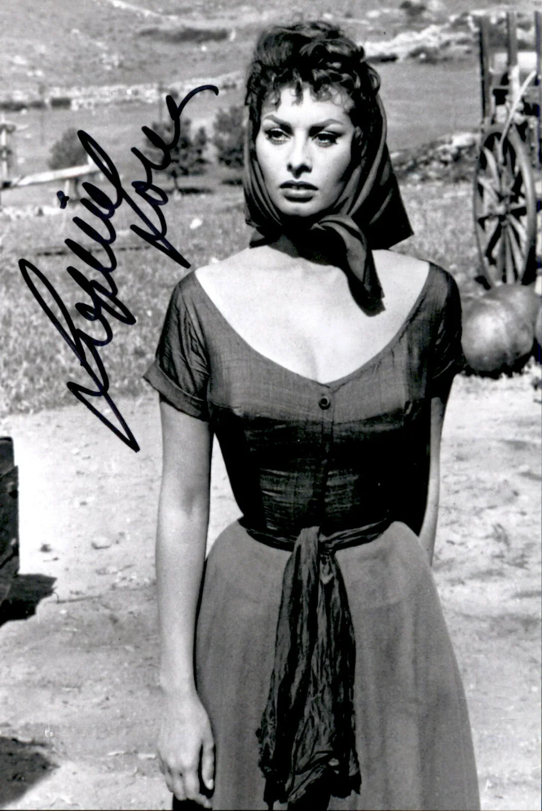 Sophia Loren — Sophia Loren Signed Autographed 4x6 Photo Movie Star / Actress / Beautiful #4