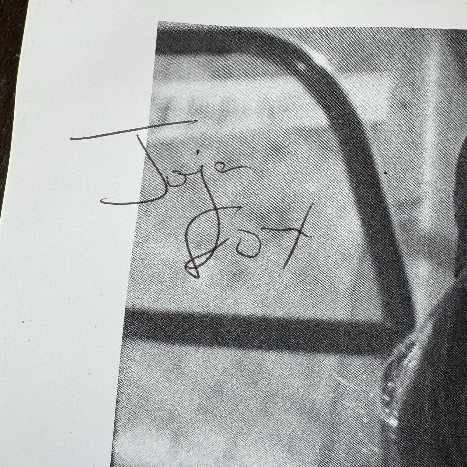 Jorja Fox Autographed Photo CSI Actress 8x10 Original Signed, image 2