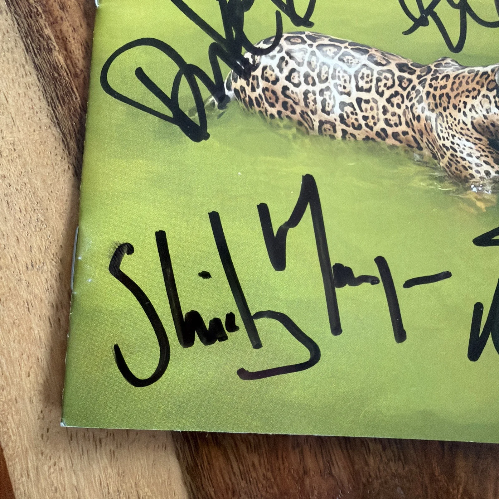Garbage Strange Little Birds signed Cd booklet Only No Cd Included Authentic!, image 2