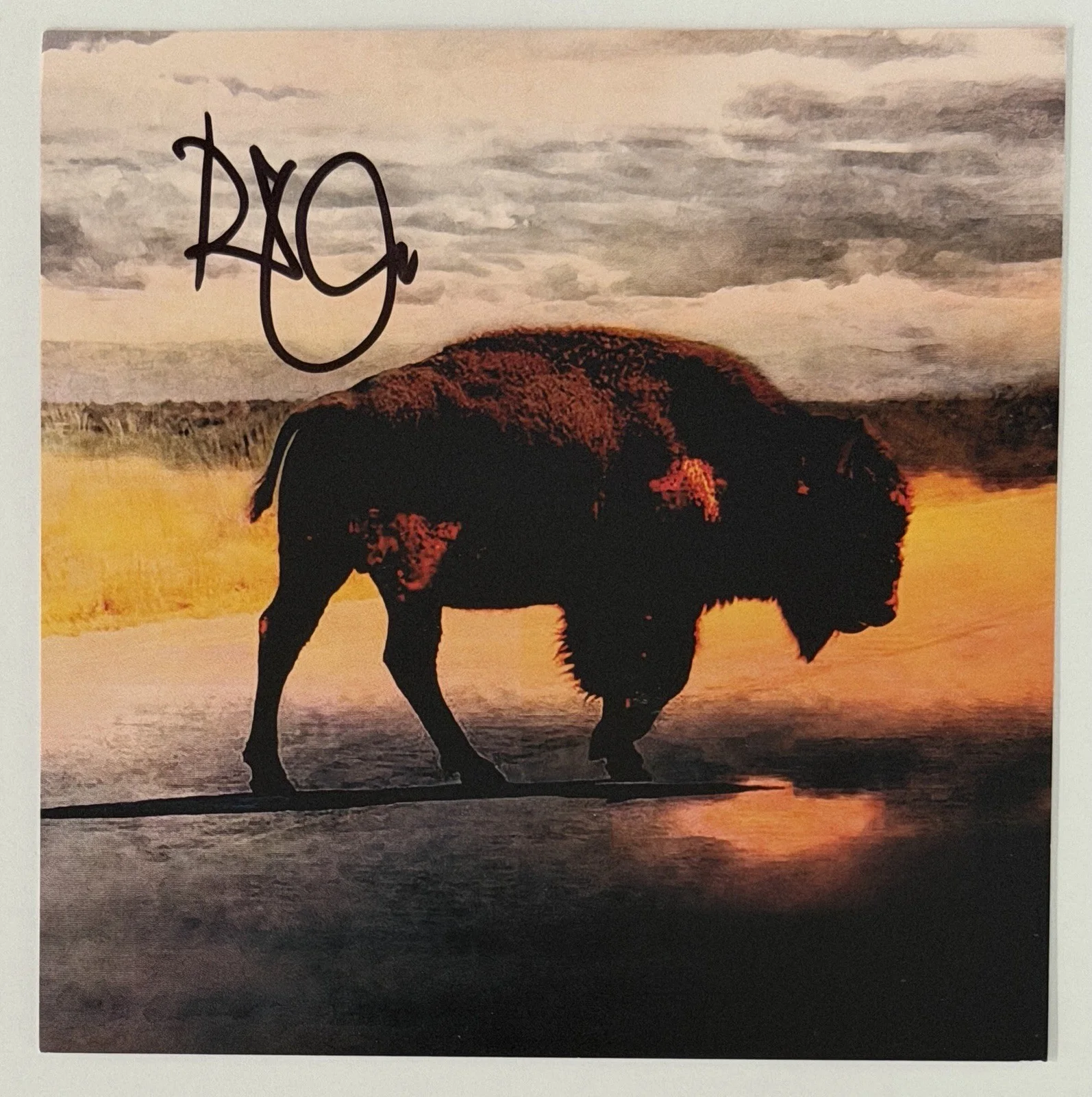 FRAMED ROBERT PLANT SIGNED ALBUM CARD & CD PSA DNA COA AUTOGRAPH LED ZEPPELIN, изображение 3