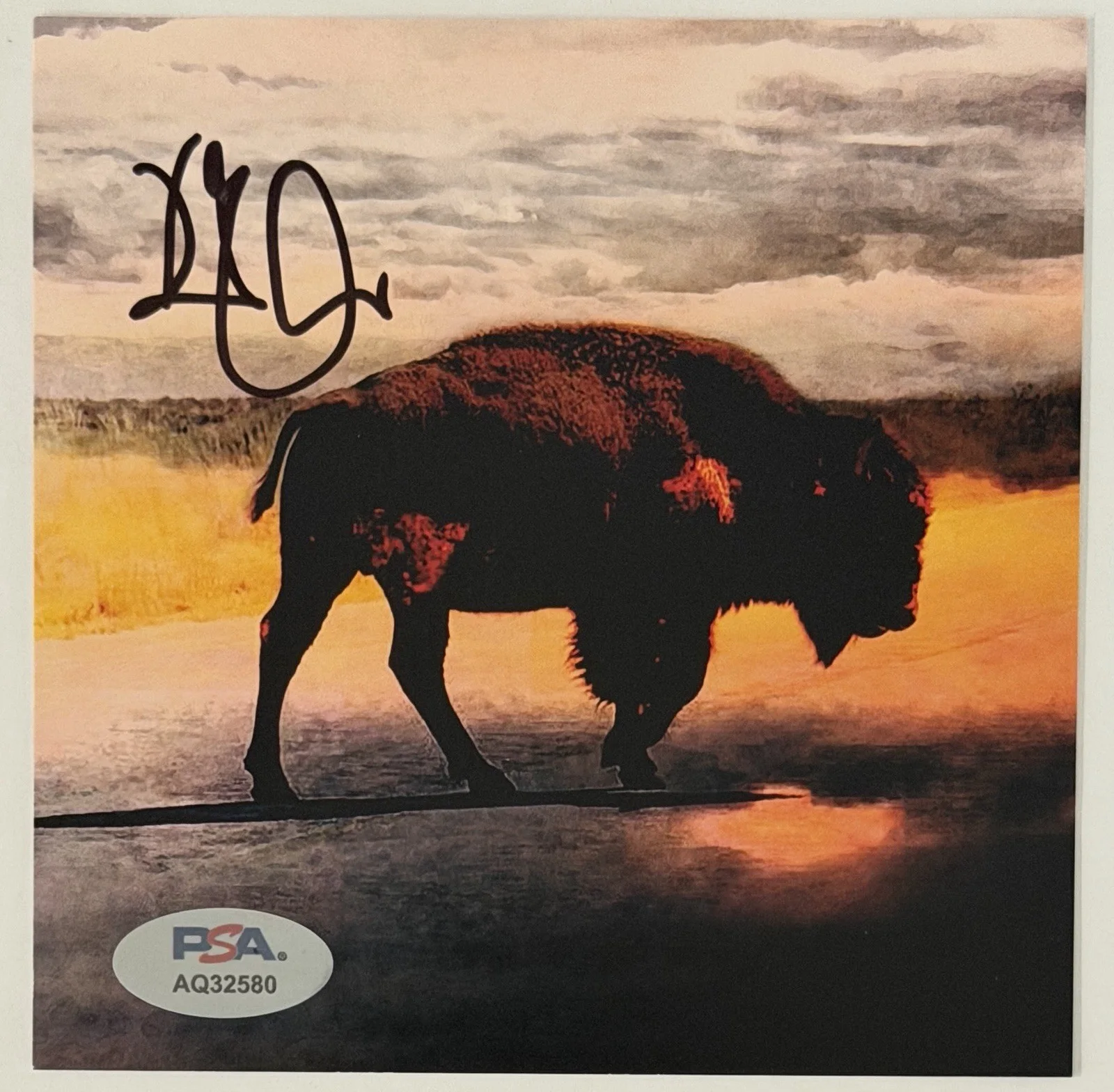 FRAMED ROBERT PLANT SIGNED COVER CARD & CD PSA DNA COA AUTOGRAPH LED ZEPPELIN, изображение 2