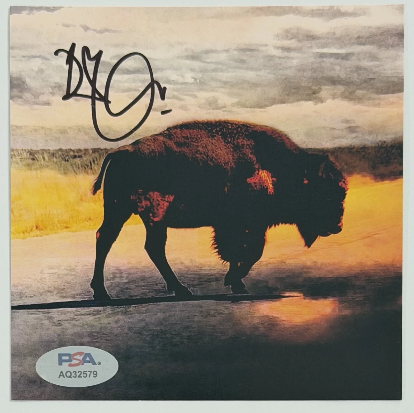FRAMED ROBERT PLANT SIGNED COVER PHOTO & CD PSA DNA COA AUTOGRAPH LED ZEPPELIN, image 2